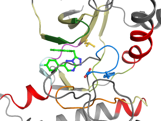 The orthosteric binding pocket