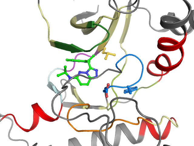 The orthosteric binding pocket