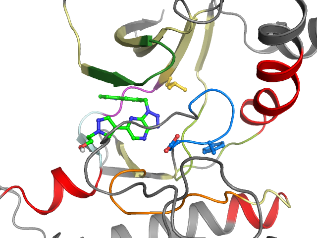 The orthosteric binding pocket