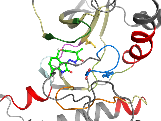 The orthosteric binding pocket