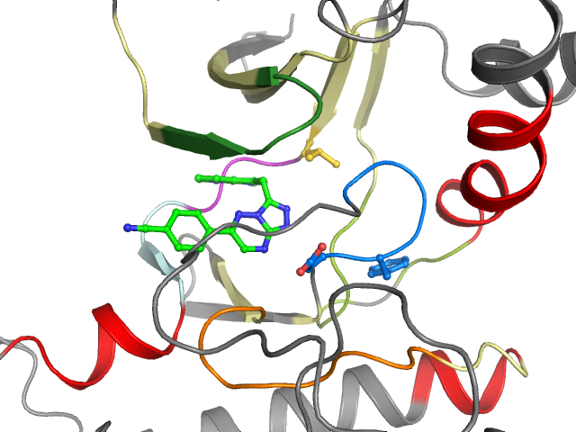 The orthosteric binding pocket