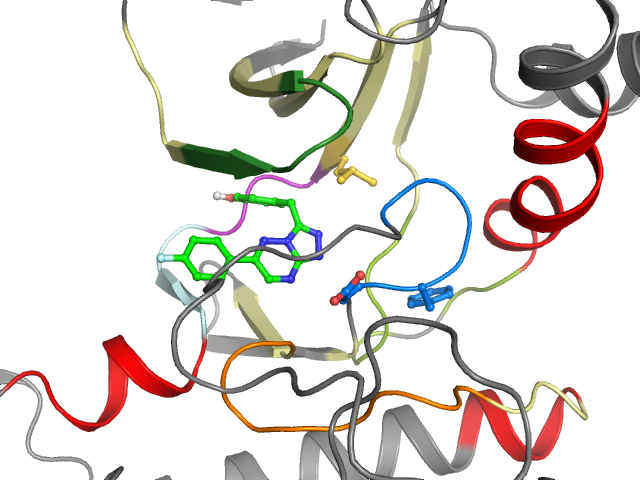 The orthosteric binding pocket
