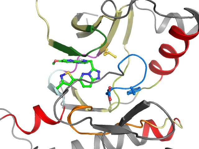 The orthosteric binding pocket