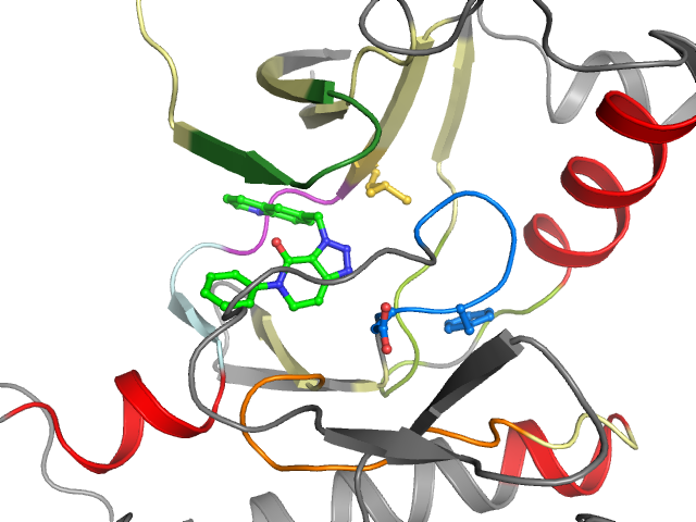 The orthosteric binding pocket