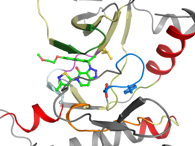The orthosteric binding pocket