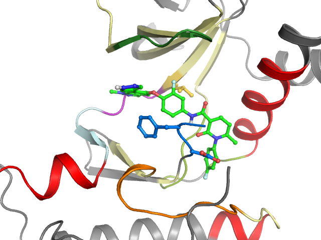 The orthosteric binding pocket