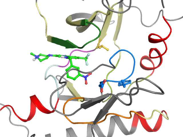 The orthosteric binding pocket