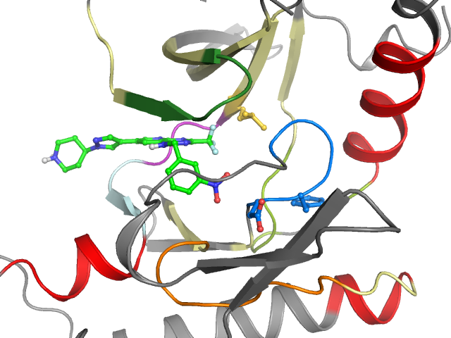 The orthosteric binding pocket