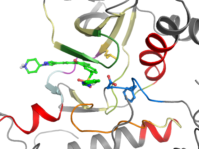 The orthosteric binding pocket