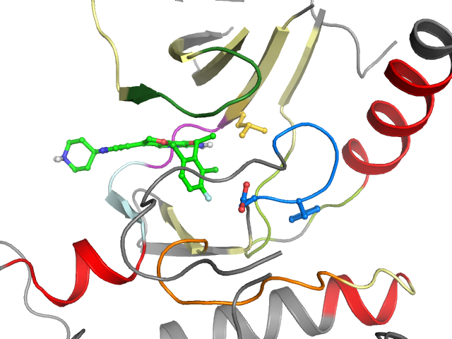 The orthosteric binding pocket