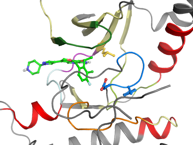 The orthosteric binding pocket