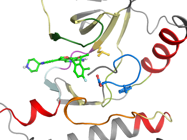 The orthosteric binding pocket