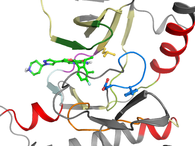 The orthosteric binding pocket