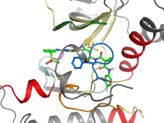 The orthosteric binding pocket