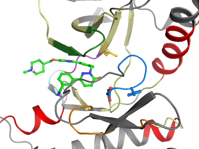 The orthosteric binding pocket