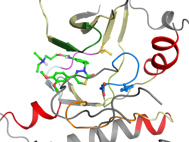 The orthosteric binding pocket