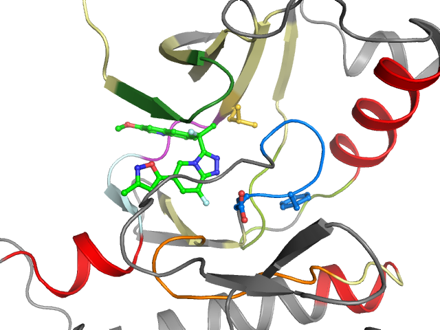 The orthosteric binding pocket