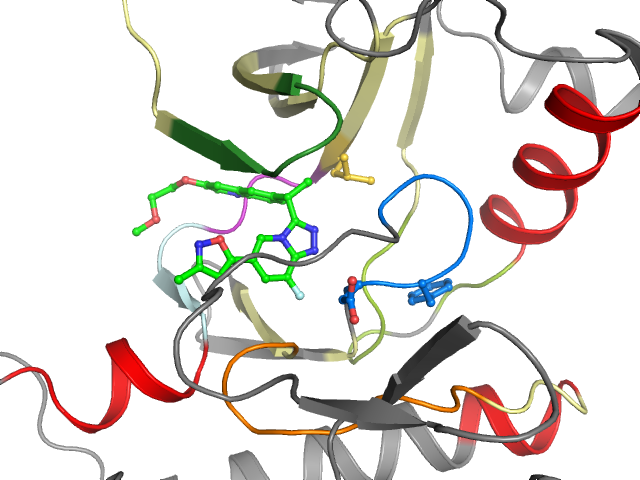 The orthosteric binding pocket