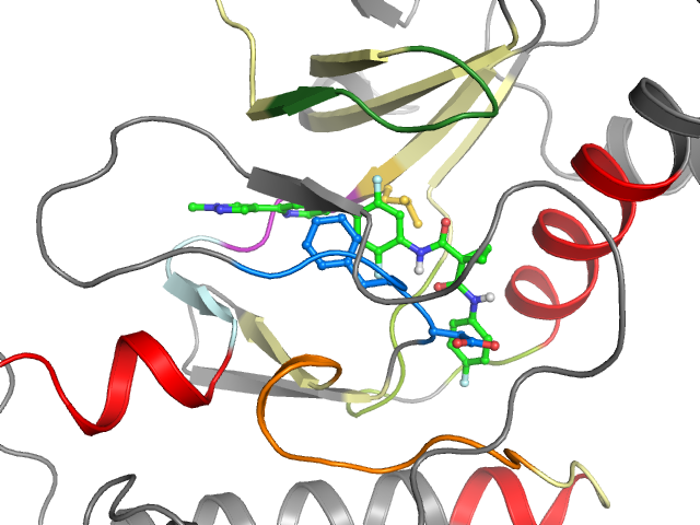 The orthosteric binding pocket