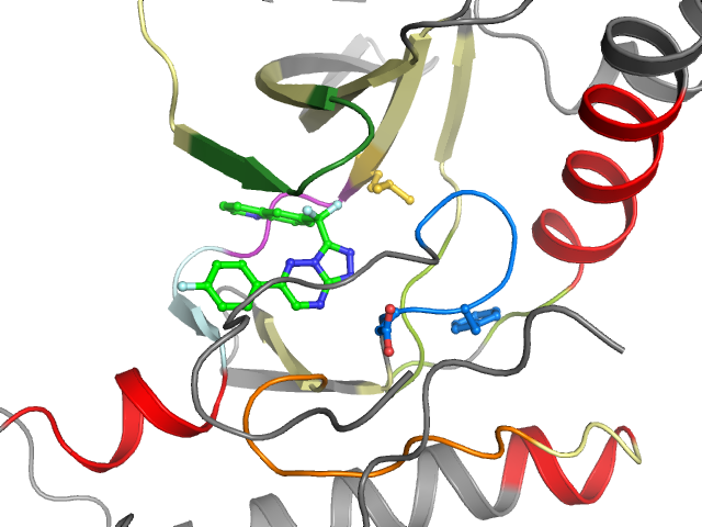 The orthosteric binding pocket