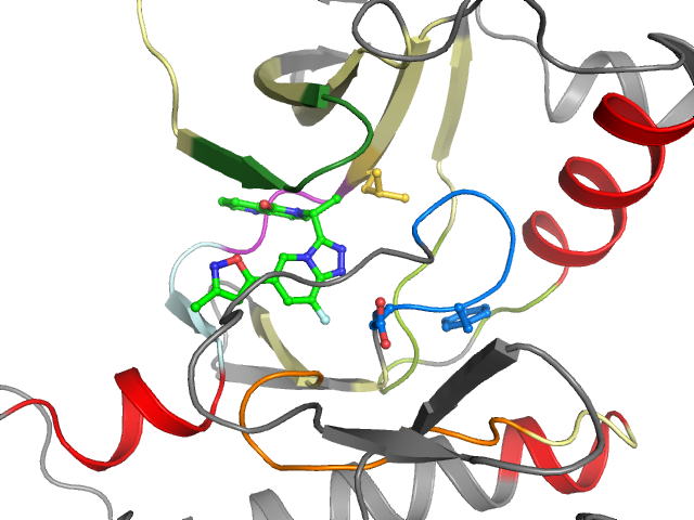 The orthosteric binding pocket