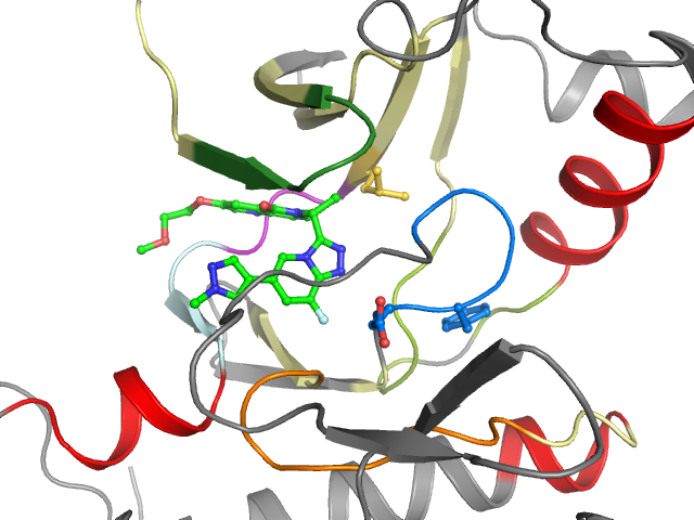 The orthosteric binding pocket