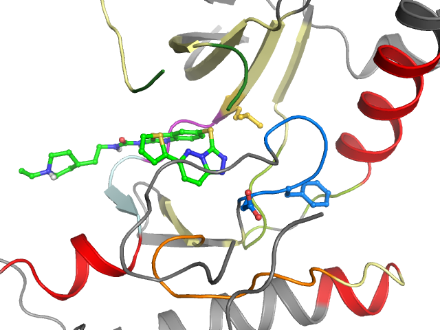 The orthosteric binding pocket