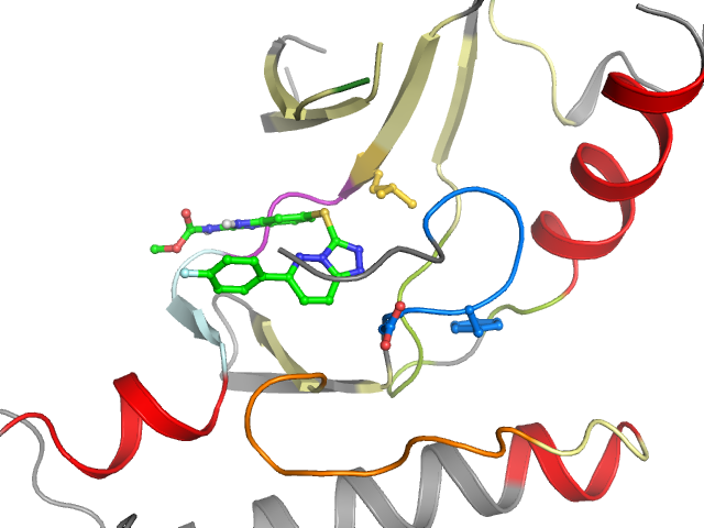 The orthosteric binding pocket