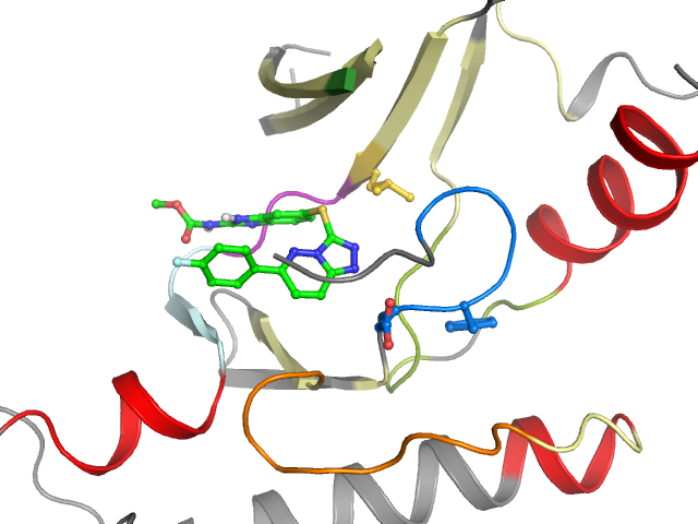 The orthosteric binding pocket