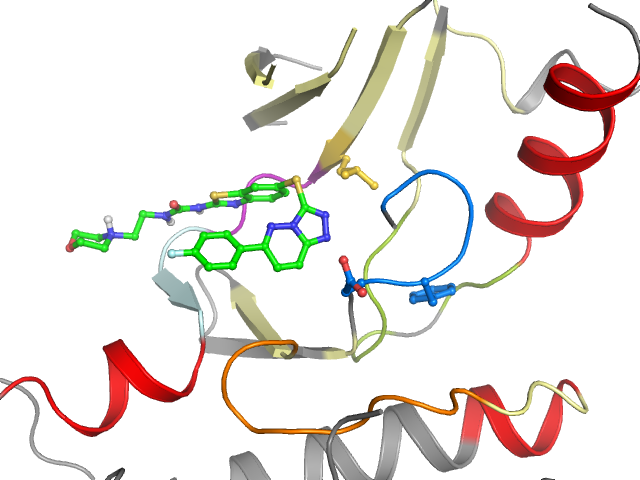 The orthosteric binding pocket