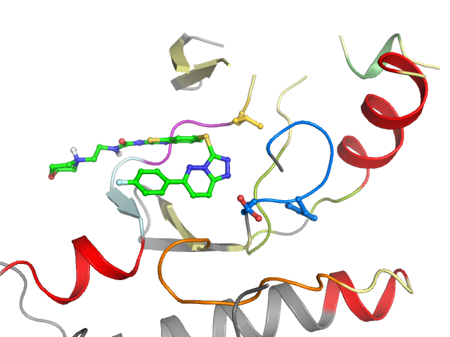 The orthosteric binding pocket