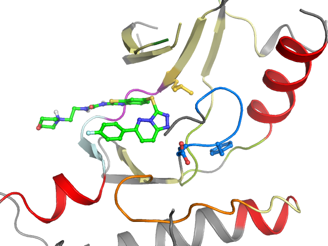 The orthosteric binding pocket