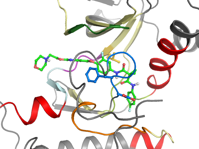 The orthosteric binding pocket