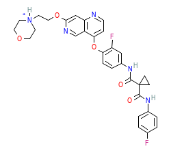 2D structure of the orthosteric ligand