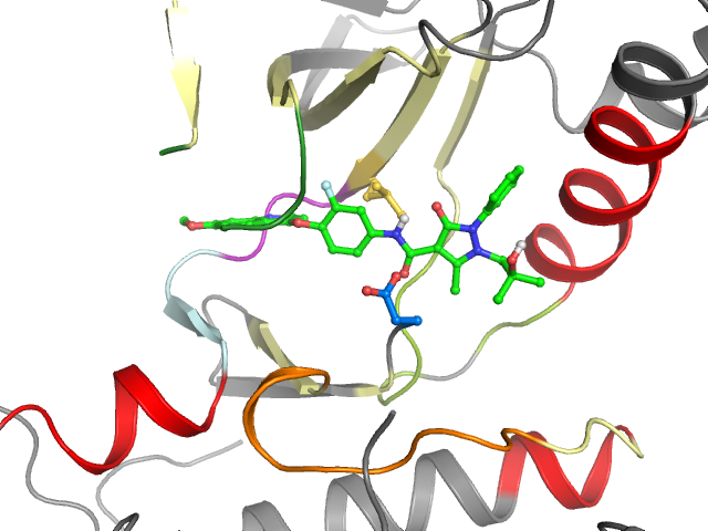 The orthosteric binding pocket