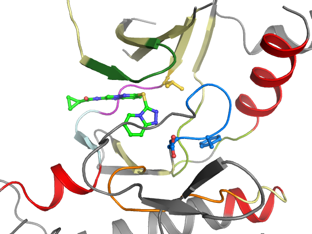 The orthosteric binding pocket