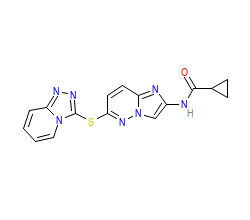 2D structure of the orthosteric ligand