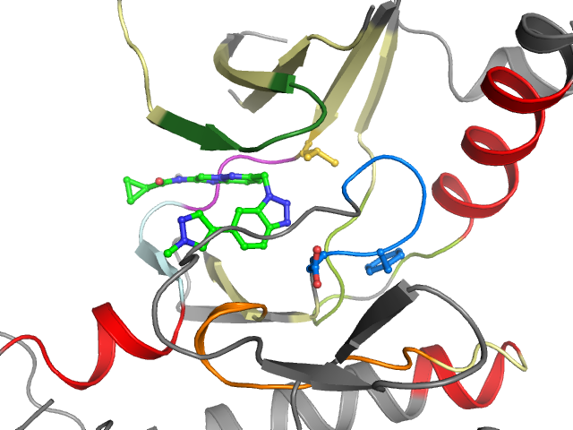 The orthosteric binding pocket