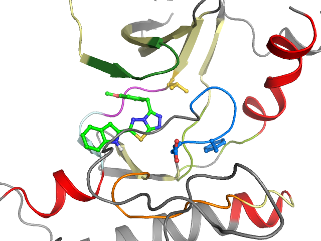 The orthosteric binding pocket