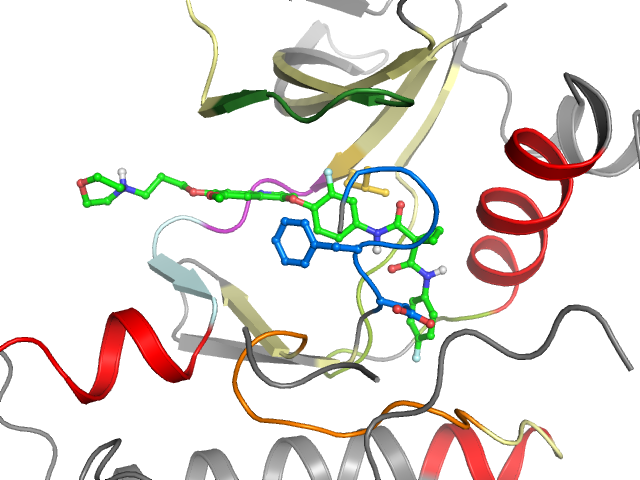 The orthosteric binding pocket