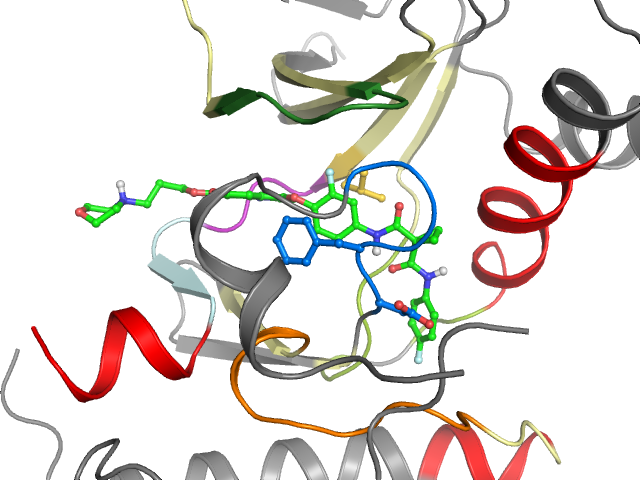 The orthosteric binding pocket
