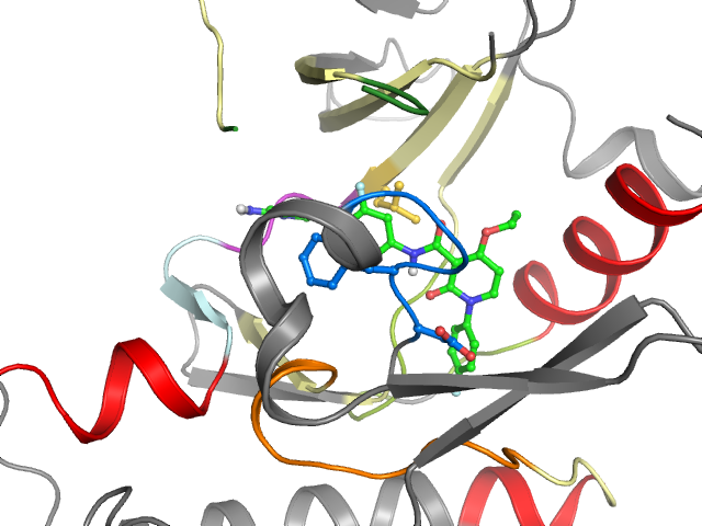 The orthosteric binding pocket