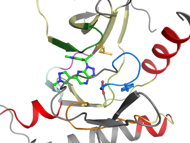 The orthosteric binding pocket