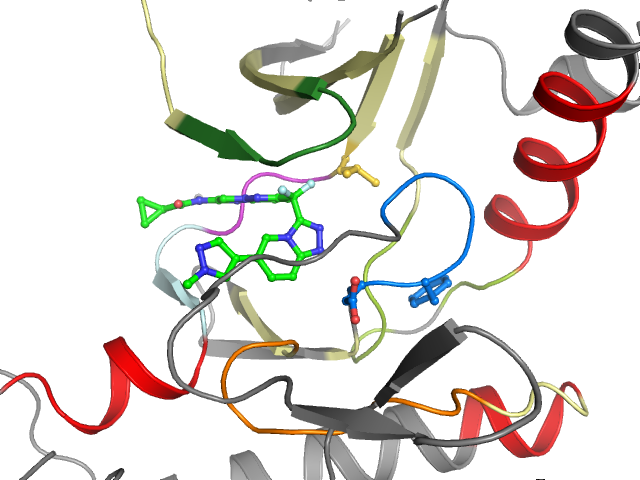 The orthosteric binding pocket