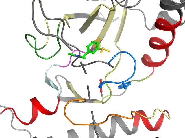 The orthosteric binding pocket