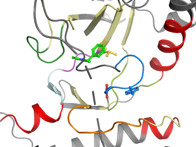 The orthosteric binding pocket
