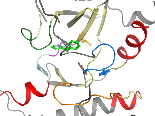 The orthosteric binding pocket