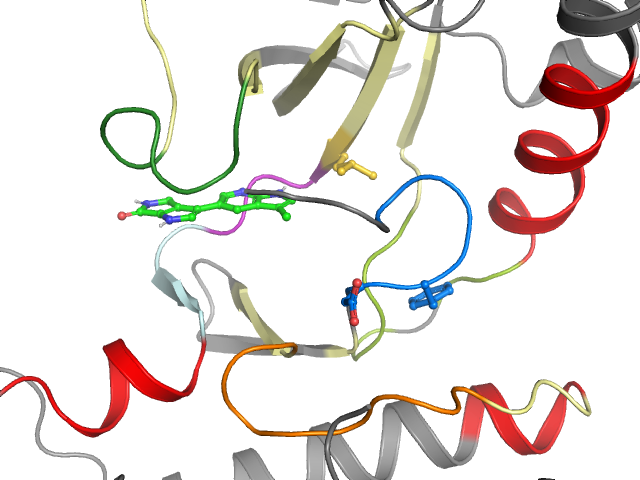 The orthosteric binding pocket