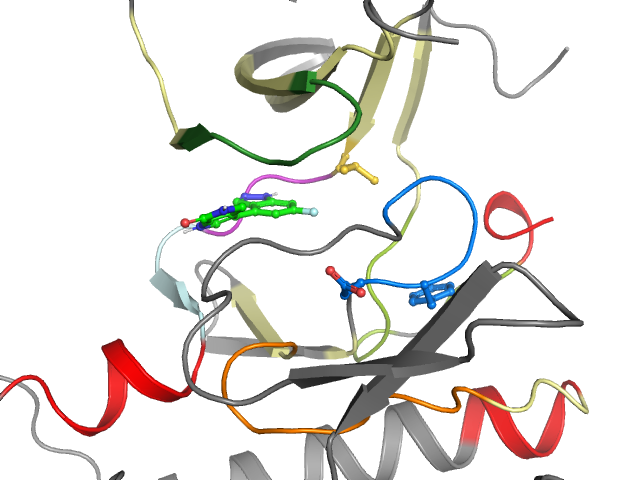 The orthosteric binding pocket