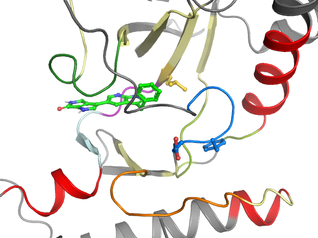 The orthosteric binding pocket